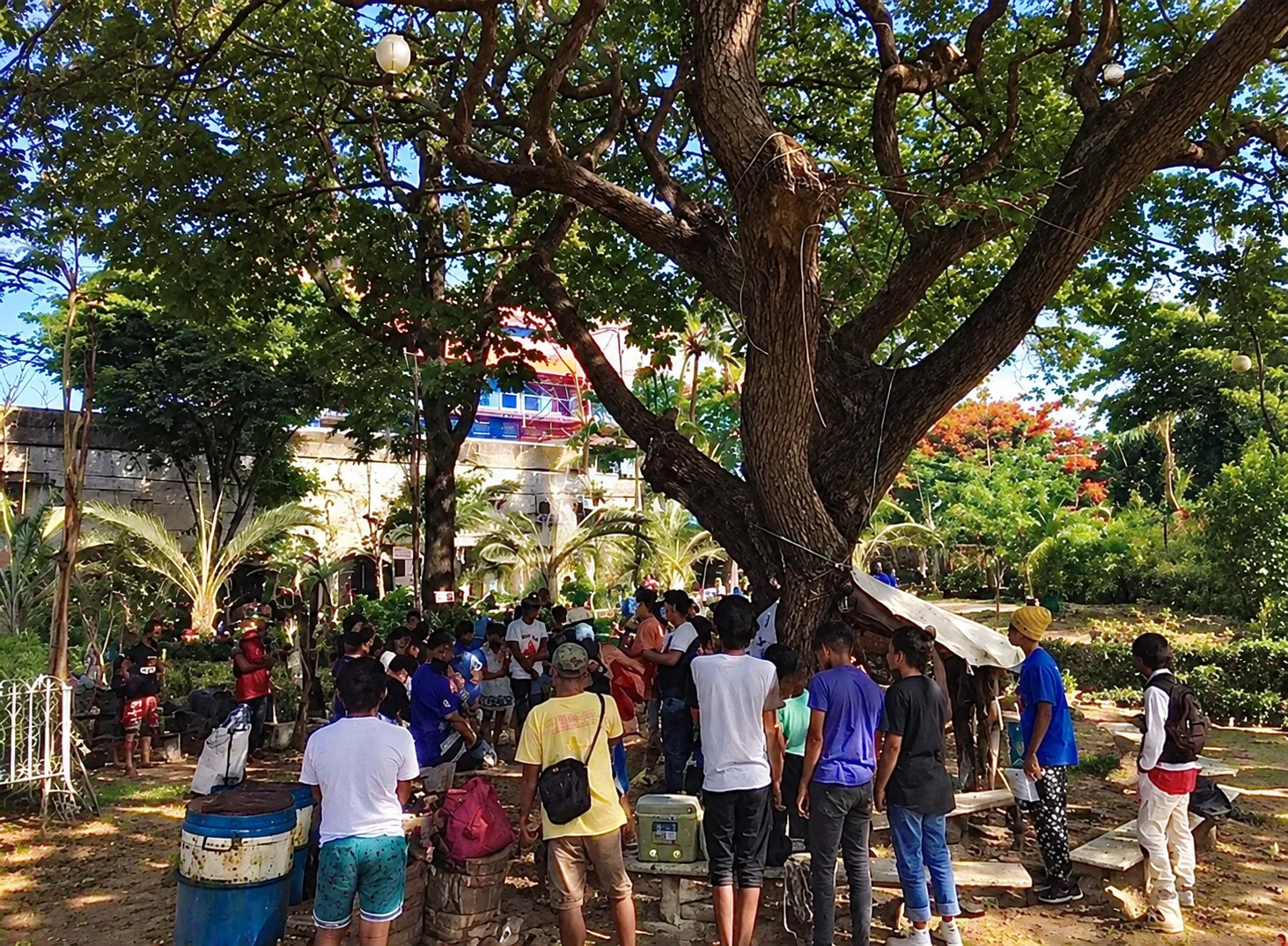 Community members gathered beneath a tree